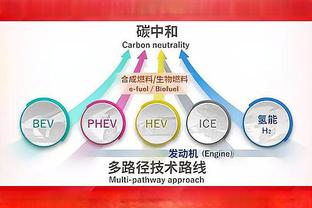 宋凯看到根宝基地：哎呀多好的环境，中国足球再不上去确实不应该